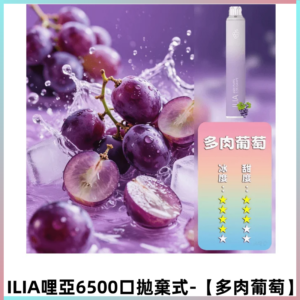 ILIA BAR 4哩啞一次性大容量6500Puffs拋棄式電子煙【多肉葡萄】
