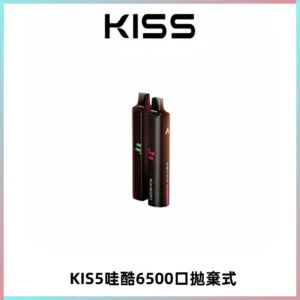 KIS5WAGOO哇酷6500口拋棄式 | 自由混搭雙口味 | 雙芯組合